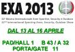 EXA 2013 13-16 Aprile